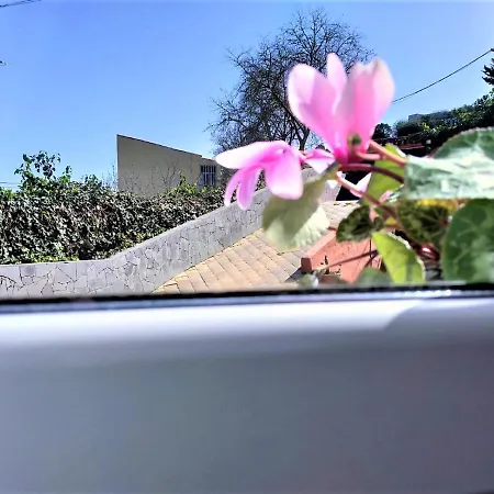 Bella Vista Los Penones Villa